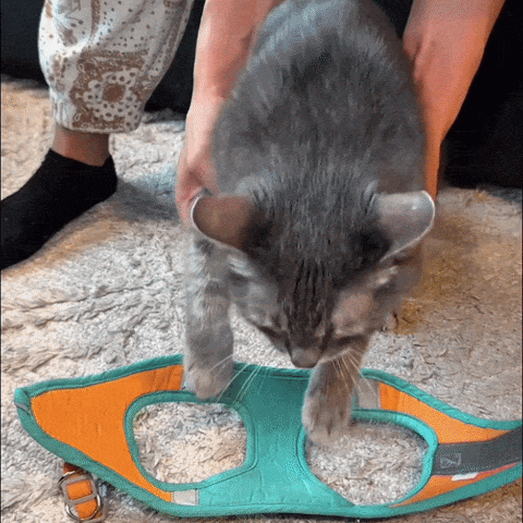 ESCAPE-PROOF CAT HARNESS + LEASH